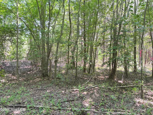 $25,000 | Lot 23 Buckhorn Church Road, Como, NC 27818