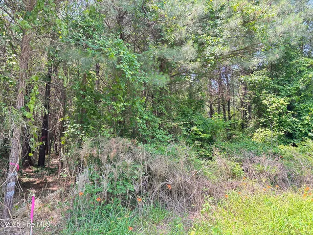 $25,000 | Lot 23 Buckhorn Church Road, Como, NC 27818