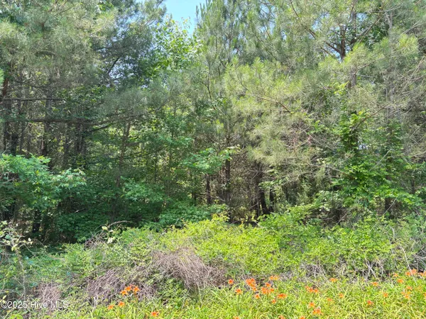 $25,000 | Lot 23 Buckhorn Church Road, Como, NC 27818