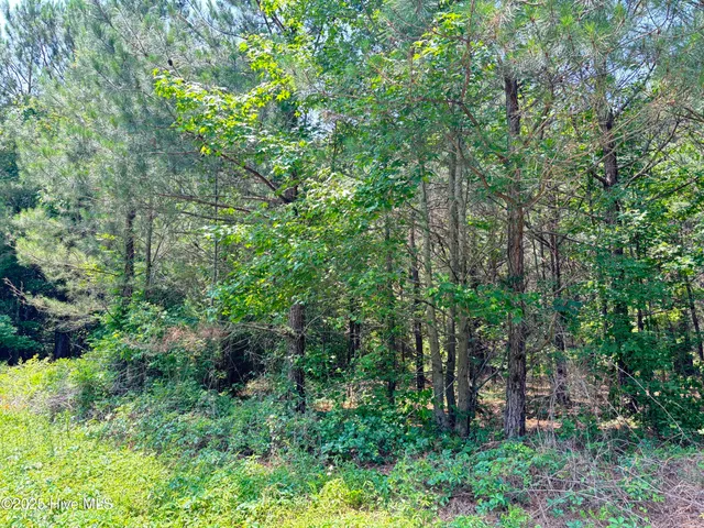 $25,000 | Lot 23 Buckhorn Church Road, Como, NC 27818