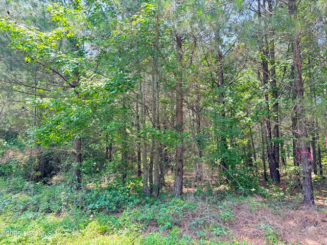 $25,000 | Lot 23 Buckhorn Church Road, Como, NC 27818