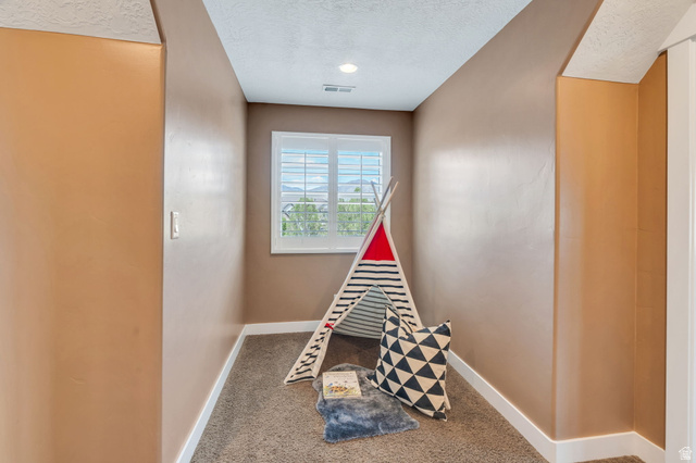 1355 West 1000 South Mapleton, UT 84664 - Photo 46 of 74 Recreation room featuring a textured ceiling and carpet