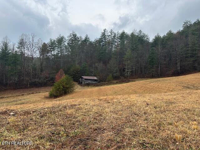 680 Bug Branch Road Del Rio, TN 37727 - Photo 11 of 16 IMG_4033