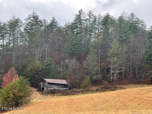 680 Bug Branch Road Del Rio, TN 37727 - Photo 12 of 16 IMG_4034