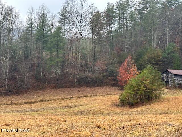 680 Bug Branch Road Del Rio, TN 37727 - Photo 14 of 16 IMG_4036