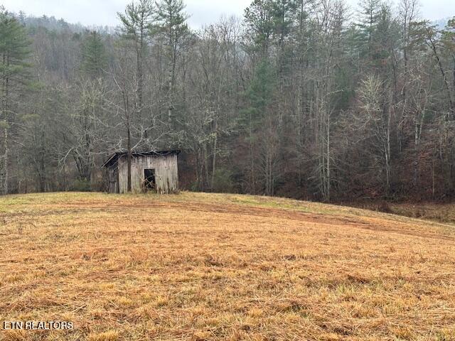 680 Bug Branch Road Del Rio, TN 37727 - Photo 15 of 16 IMG_4037