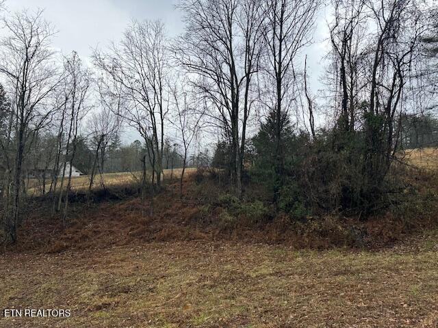 680 Bug Branch Road Del Rio, TN 37727 - Photo 3 of 16 IMG_4025