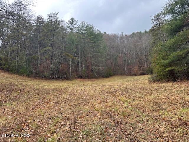 680 Bug Branch Road Del Rio, TN 37727 - Photo 4 of 16 IMG_4026