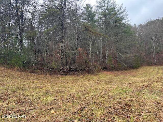 680 Bug Branch Road Del Rio, TN 37727 - Photo 5 of 16 IMG_4027