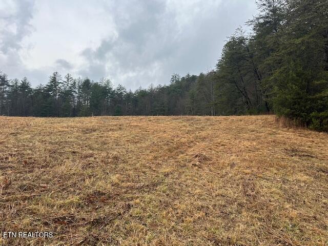 680 Bug Branch Road Del Rio, TN 37727 - Photo 7 of 16 IMG_4029