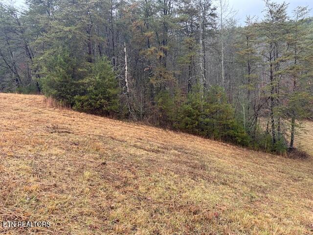 680 Bug Branch Road Del Rio, TN 37727 - Photo 8 of 16 IMG_4030