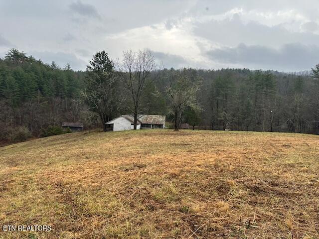 680 Bug Branch Road Del Rio, TN 37727 - Photo 9 of 16 IMG_4031