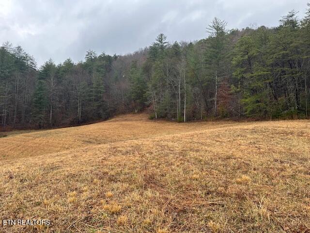 680 Bug Branch Road Del Rio, TN 37727 - Photo 10 of 16 IMG_4032