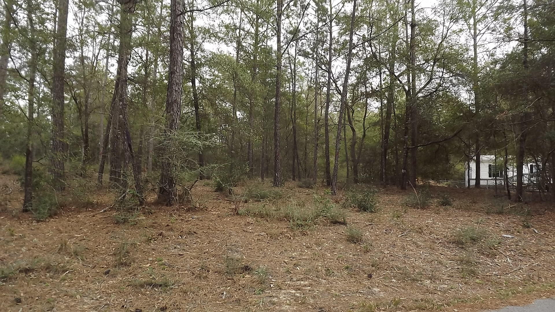 6010 Gagnon Road Crestview, FL 32539 - Photo 3 of 5 a view of outdoor space with trees