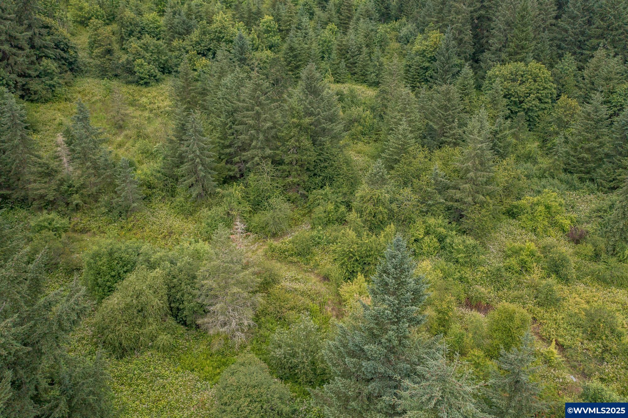 Mctimmonds Road Dallas, OR 97338 - Photo 18 of 20