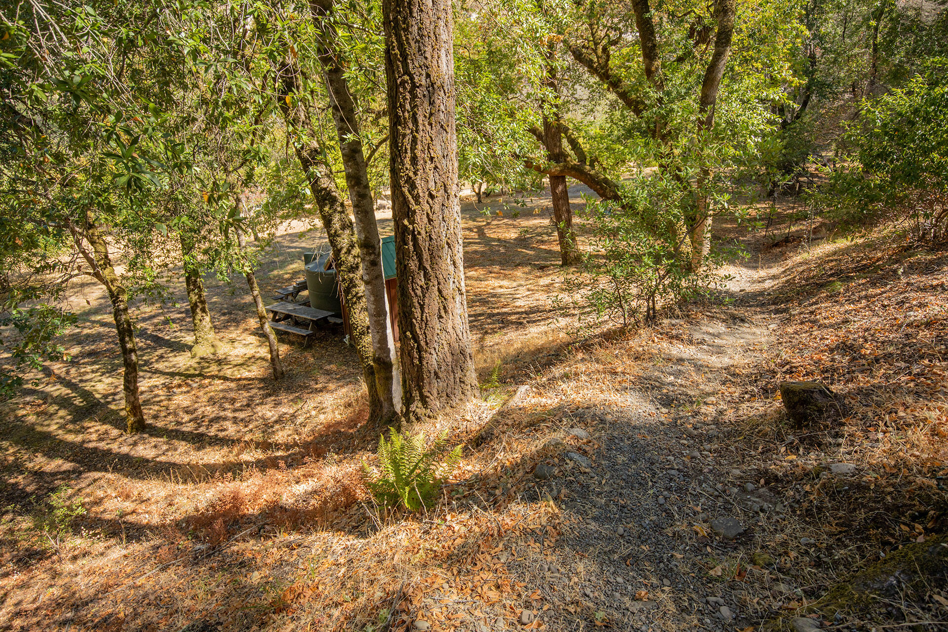 0 Bear Canyon Road Garberville, CA 95542 - Photo 64 of 107 SW__9694