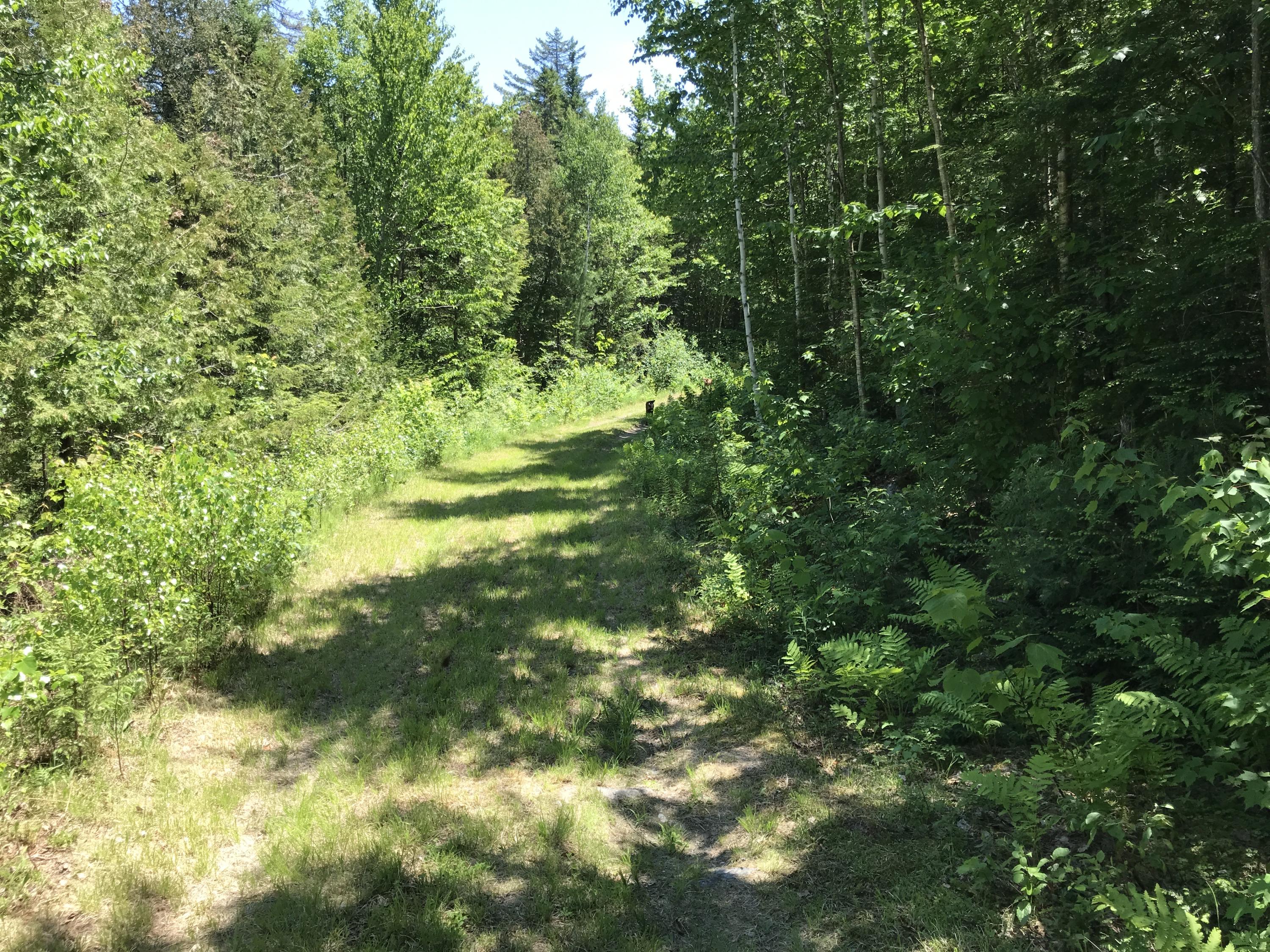 Lot 8 Mill Hill Road Springfield, ME 04487 - Photo 21 of 21 Private Gravel driveway