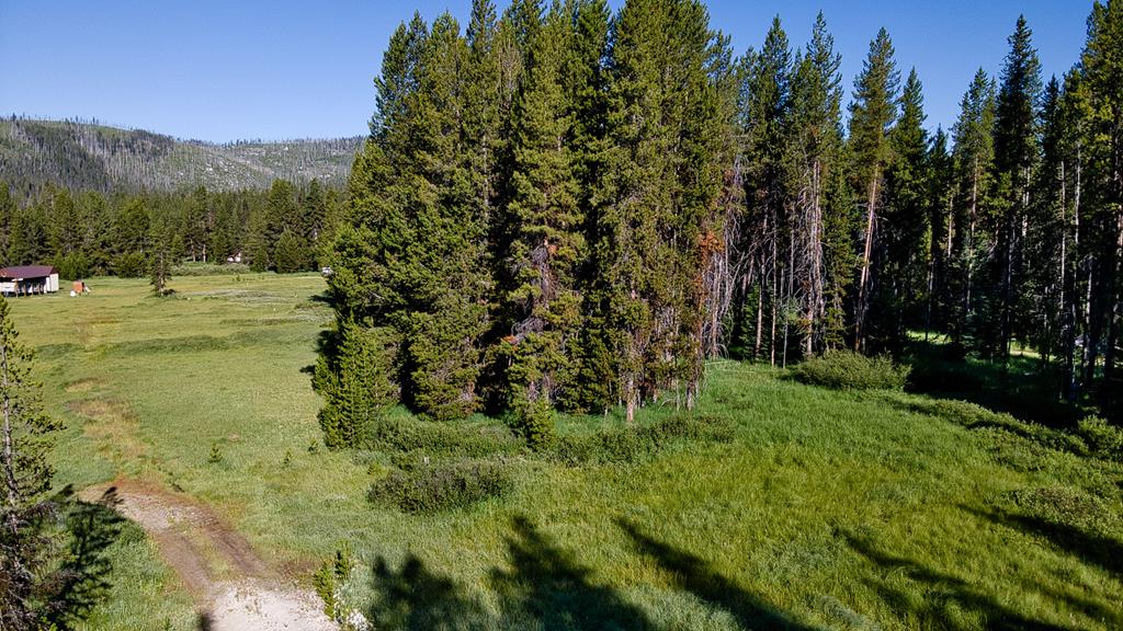 Tbd Tbd Secesh River Road, Unit 52 McCall, ID 83638 - Photo 16 of 18