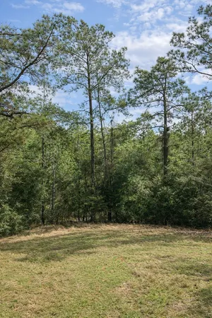 a view of a field with an ocean