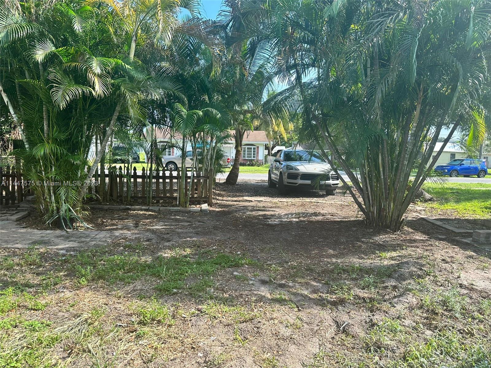 226 Southwest 11th Street, Unit 1 Dania Beach, FL 33004 - Photo 10 of 10 a view of backyard with tree