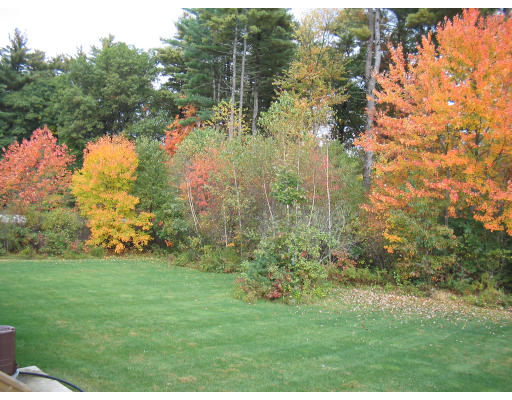14 Governor Hutchinson Road Billerica, MA 01821 - Photo 3 of 9 a view of lake background with houses