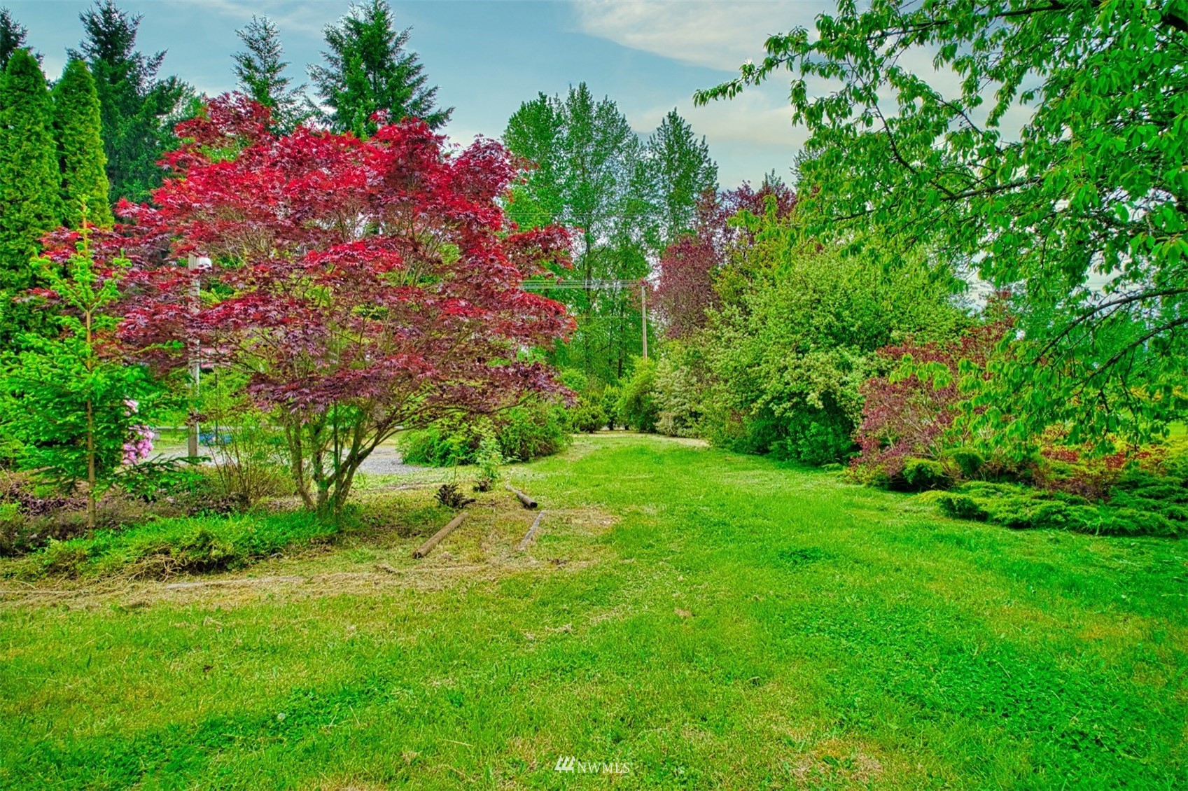 7240 183rd Avenue Southwest Rochester, WA 98579 - Photo 6 of 35 a view of a tree with a flower in a garden