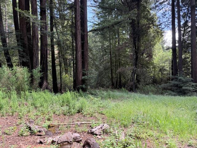 1701 Felton Quarry Road Felton, CA 95018 - Photo 1 of 13