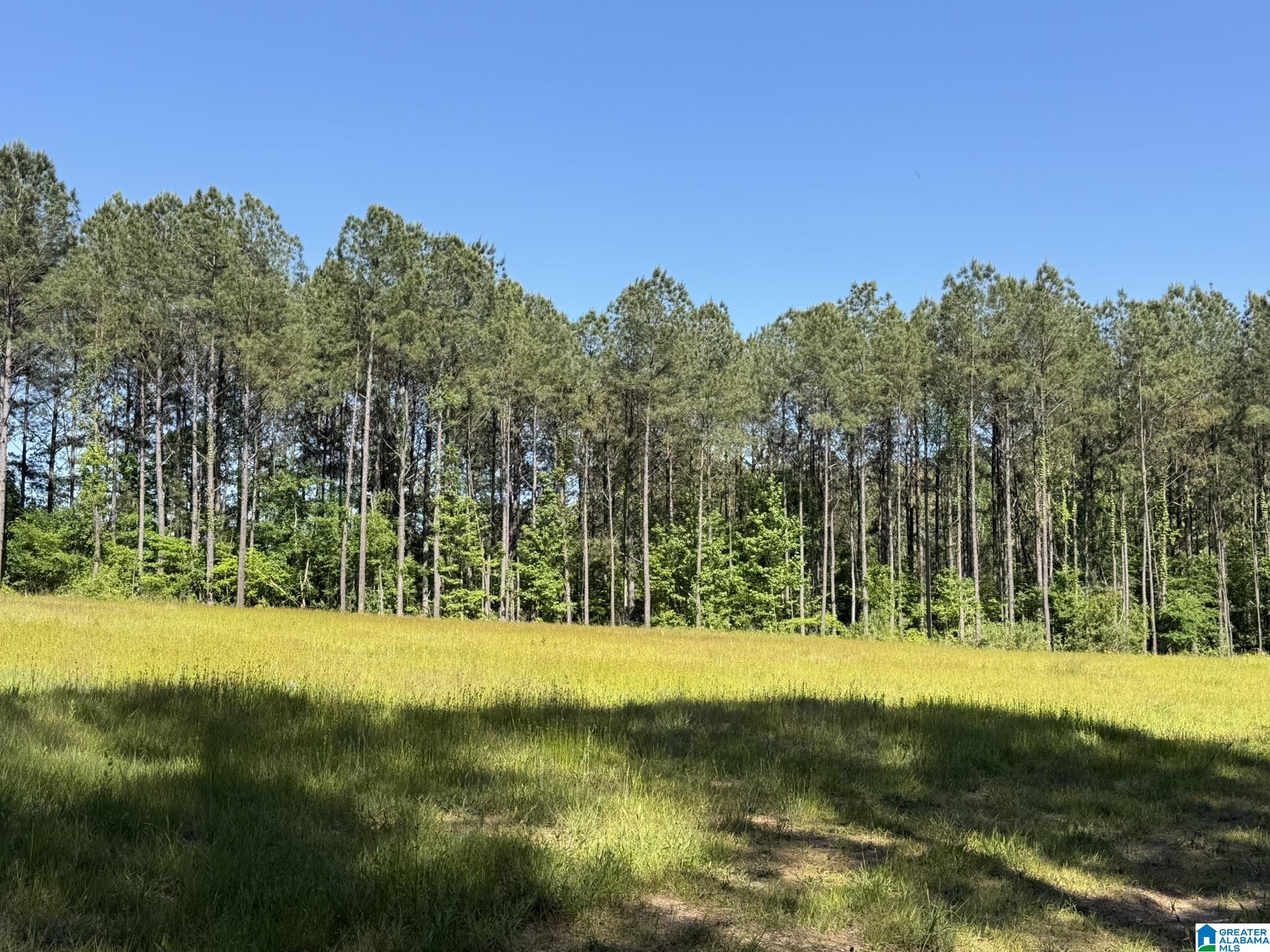 89 Golden Pond Road, Unit 9 Ashville, AL 35953 - Photo 2 of 35