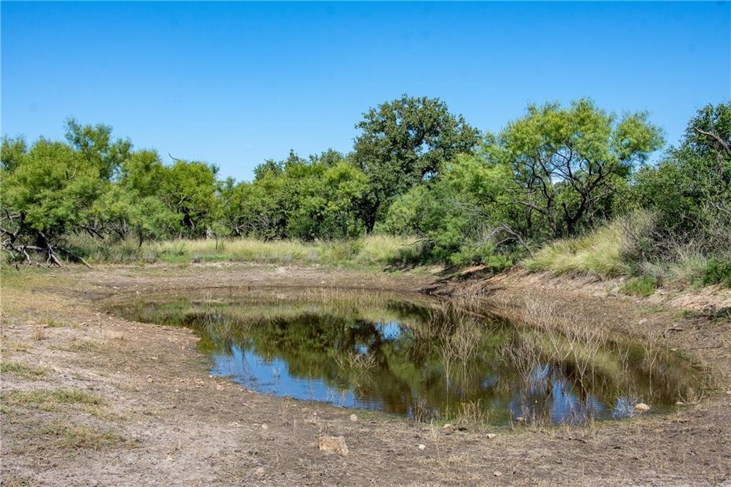 405 County Road 405 Valley Spring, TX 76885 - Photo 11 of 40 a view of a road with a yard
