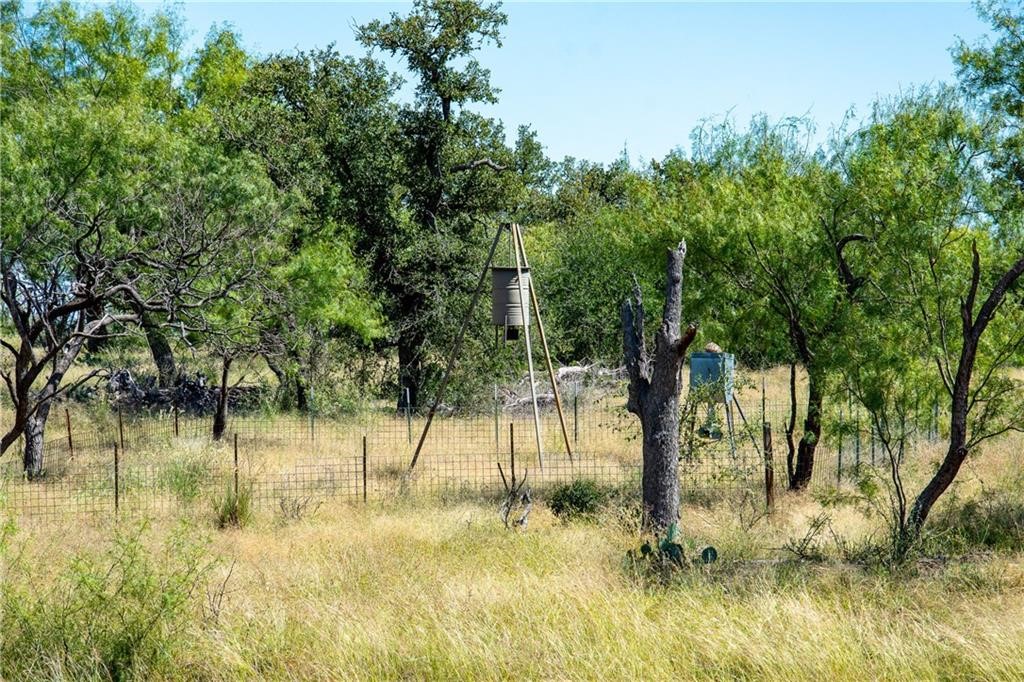 405 County Road 405 Valley Spring, TX 76885 - Photo 14 of 40