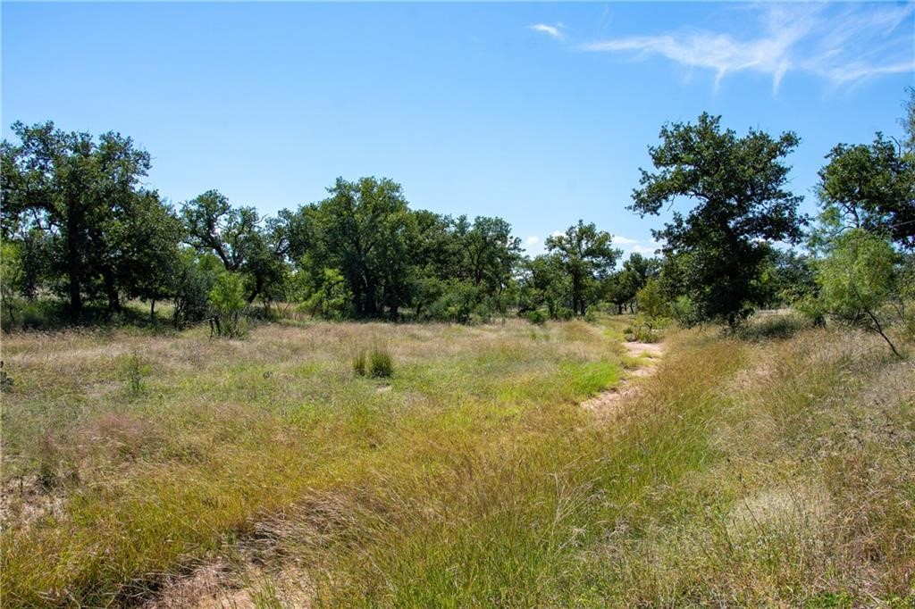 405 County Road 405 Valley Spring, TX 76885 - Photo 15 of 40 a view of a yard with a tree