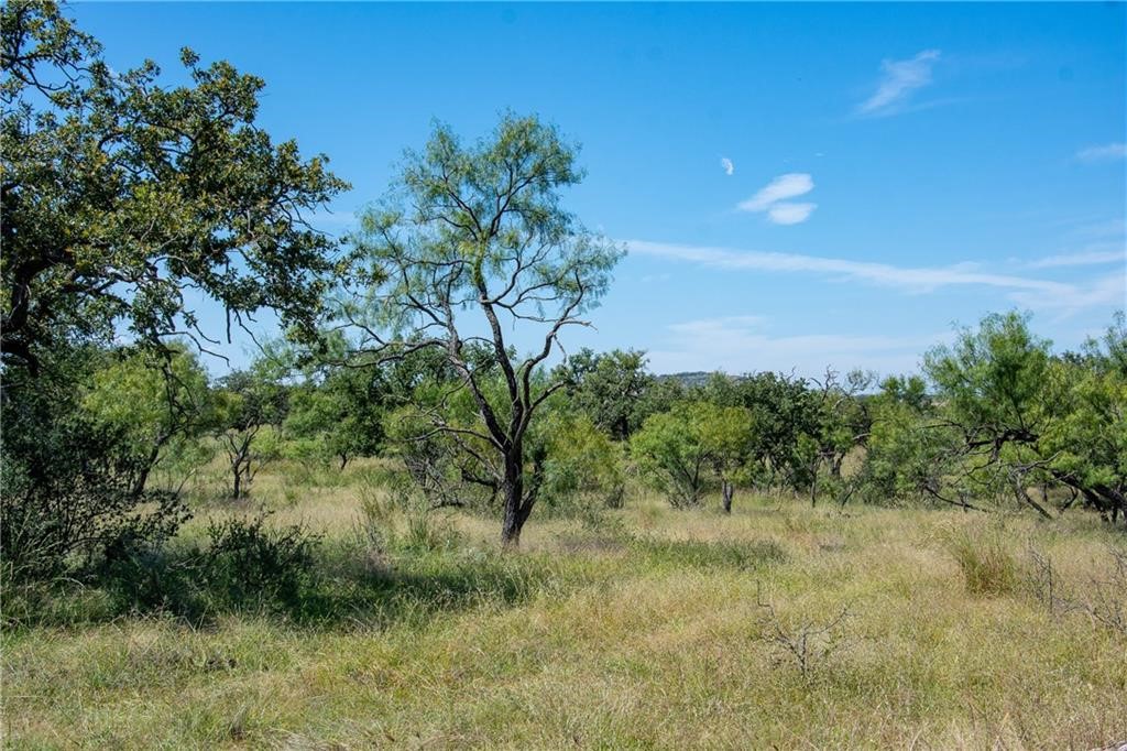 405 County Road 405 Valley Spring, TX 76885 - Photo 17 of 40 a view of a field of grass and trees