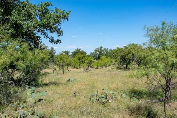 a view of backyard with green space