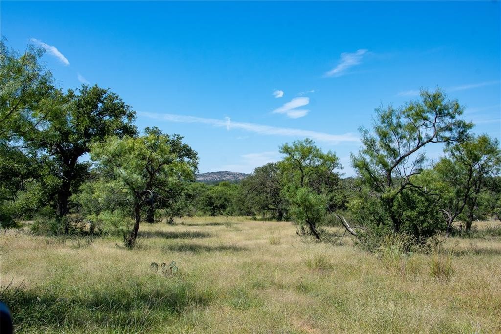 405 County Road 405 Valley Spring, TX 76885 - Photo 22 of 40 a view of backyard with green space