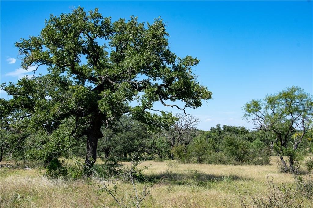 405 County Road 405 Valley Spring, TX 76885 - Photo 23 of 40 a view of a lake in between two of trees