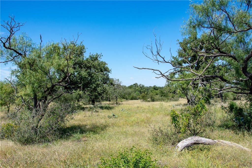405 County Road 405 Valley Spring, TX 76885 - Photo 24 of 40 a backyard of a house with lots of green space