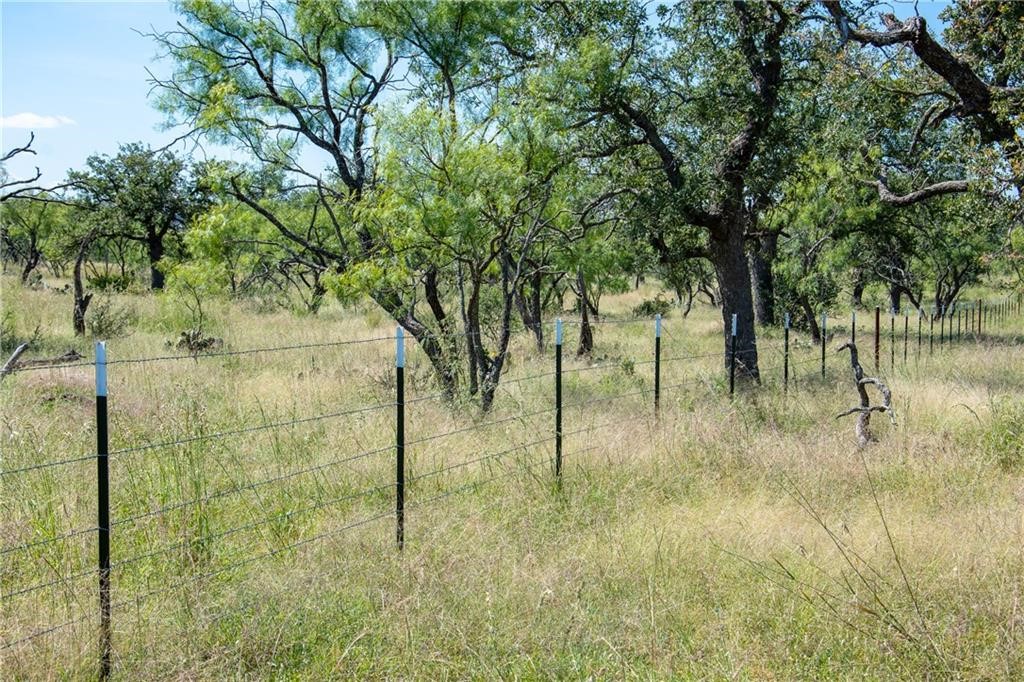 405 County Road 405 Valley Spring, TX 76885 - Photo 28 of 40 a view of yard covered with green space