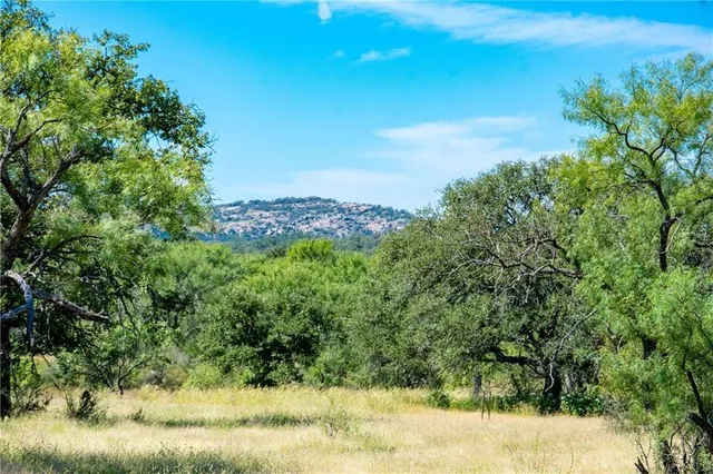 a view of a yard with a tree