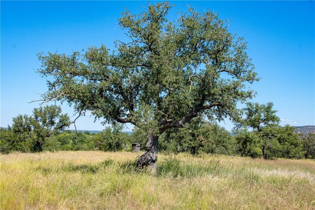 405 County Road 405 Valley Spring, TX 76885 - Photo 8 of 40 a view of a yard