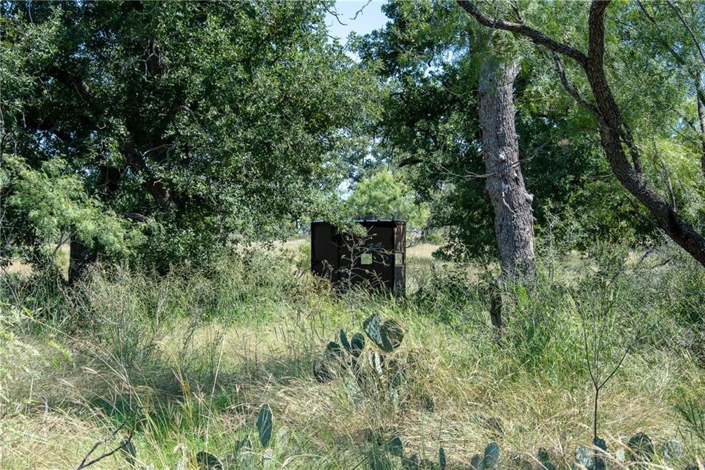 405 County Road 405 Valley Spring, TX 76885 - Photo 10 of 40 a backyard of a house with table and chairs