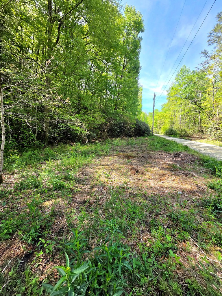795 Porter Field Gap Road Robbinsville, NC 28771 - Photo 71 of 105