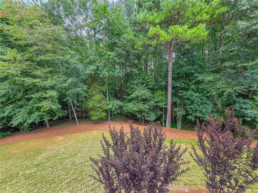 43 Ivy Mist Lane Acworth, GA 30101 - Photo 35 of 58 a view of a back yard