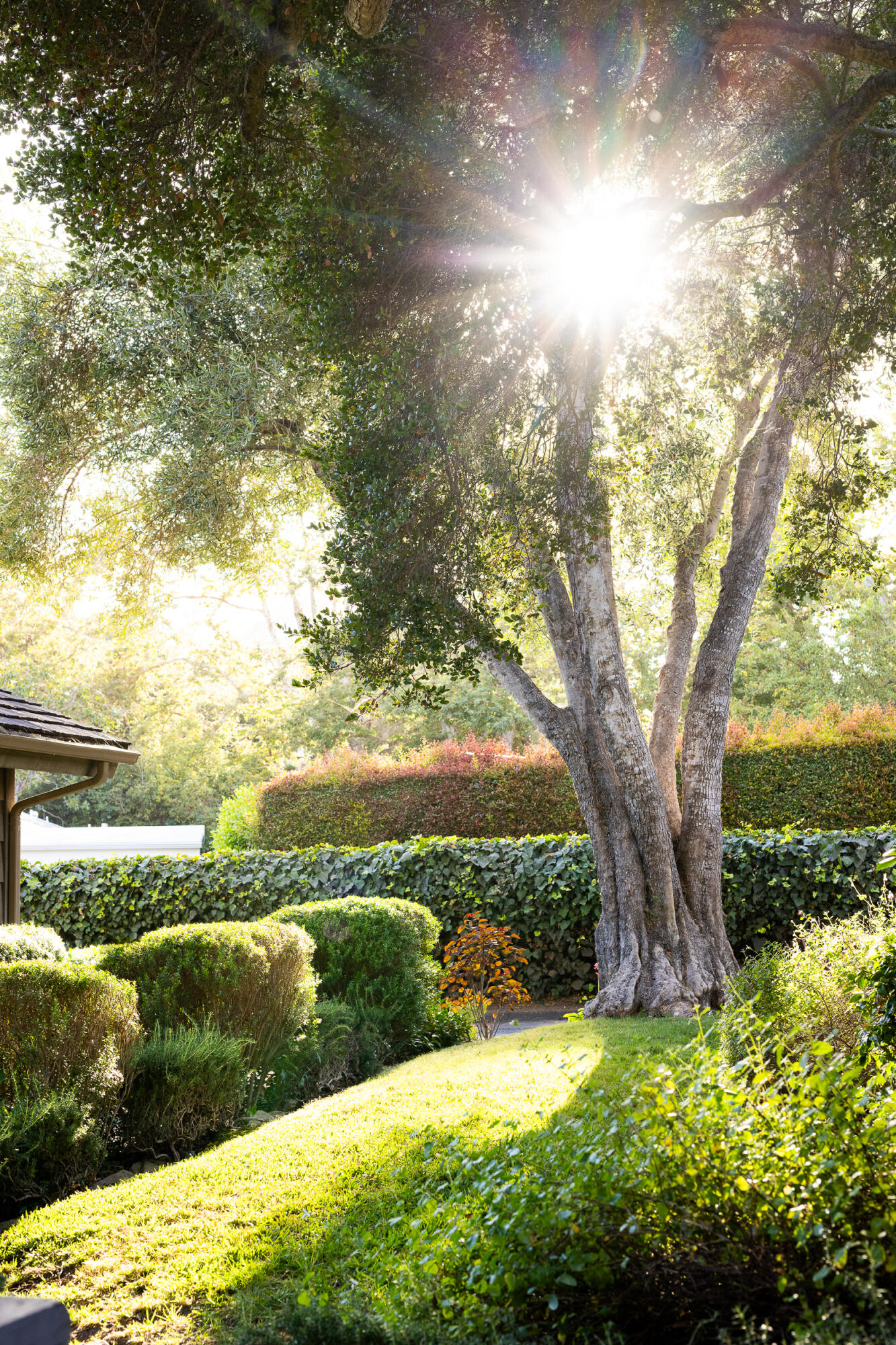 1515 East Valley Road, Unit C Santa Barbara, CA 93108 - Photo 4 of 22 a view of lake with green space