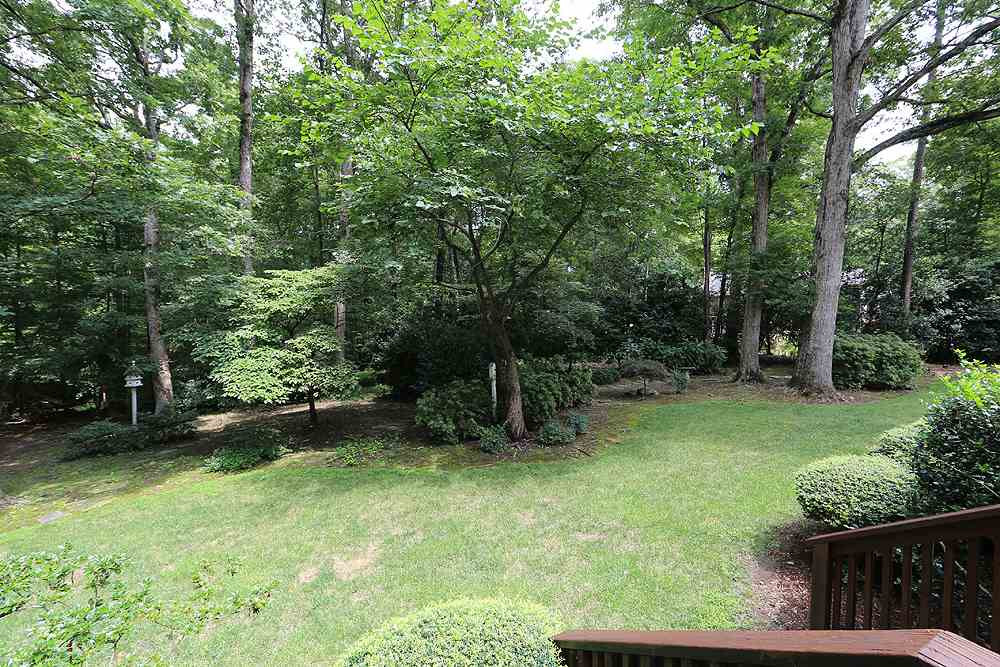 14408 Possum Track Road Raleigh, NC 27614 - Photo 24 of 25 Mature landscaping with towering hardwood trees. Backyard