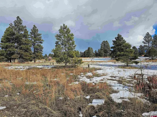 a view of a yard with mountain view