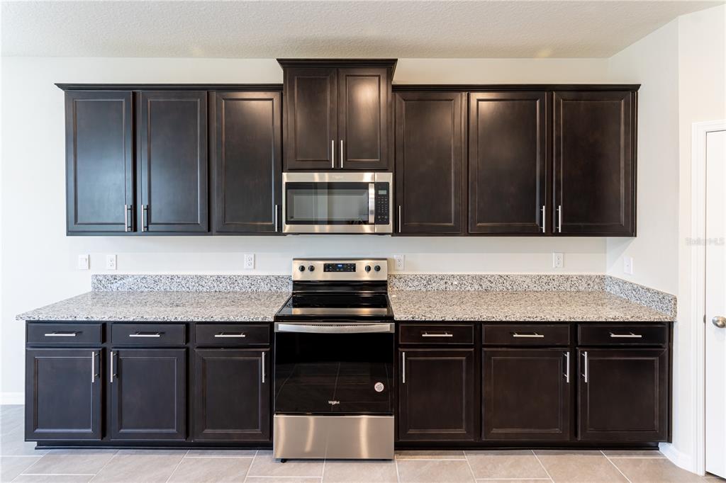 32183 Conchshell Sail Street Wesley Chapel, FL 33545 - Photo 23 of 45 a kitchen with granite countertop a stove and a microwave