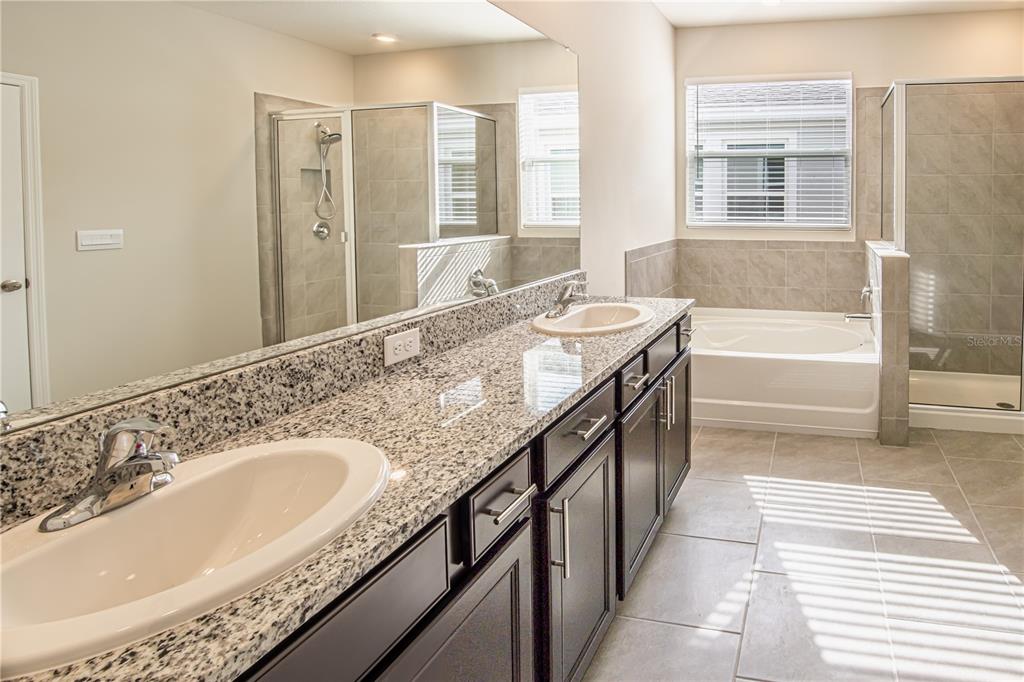 32183 Conchshell Sail Street Wesley Chapel, FL 33545 - Photo 10 of 45 a spacious bathroom with a granite countertop sink and a bathtub