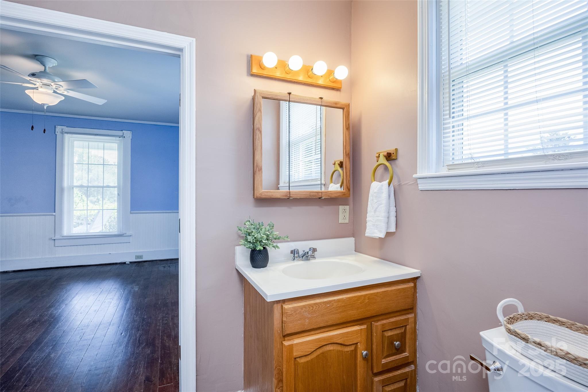 274 Old Harden Road Winnsboro, SC 29180 - Photo 23 of 39 a bathroom with a sink and a mirror