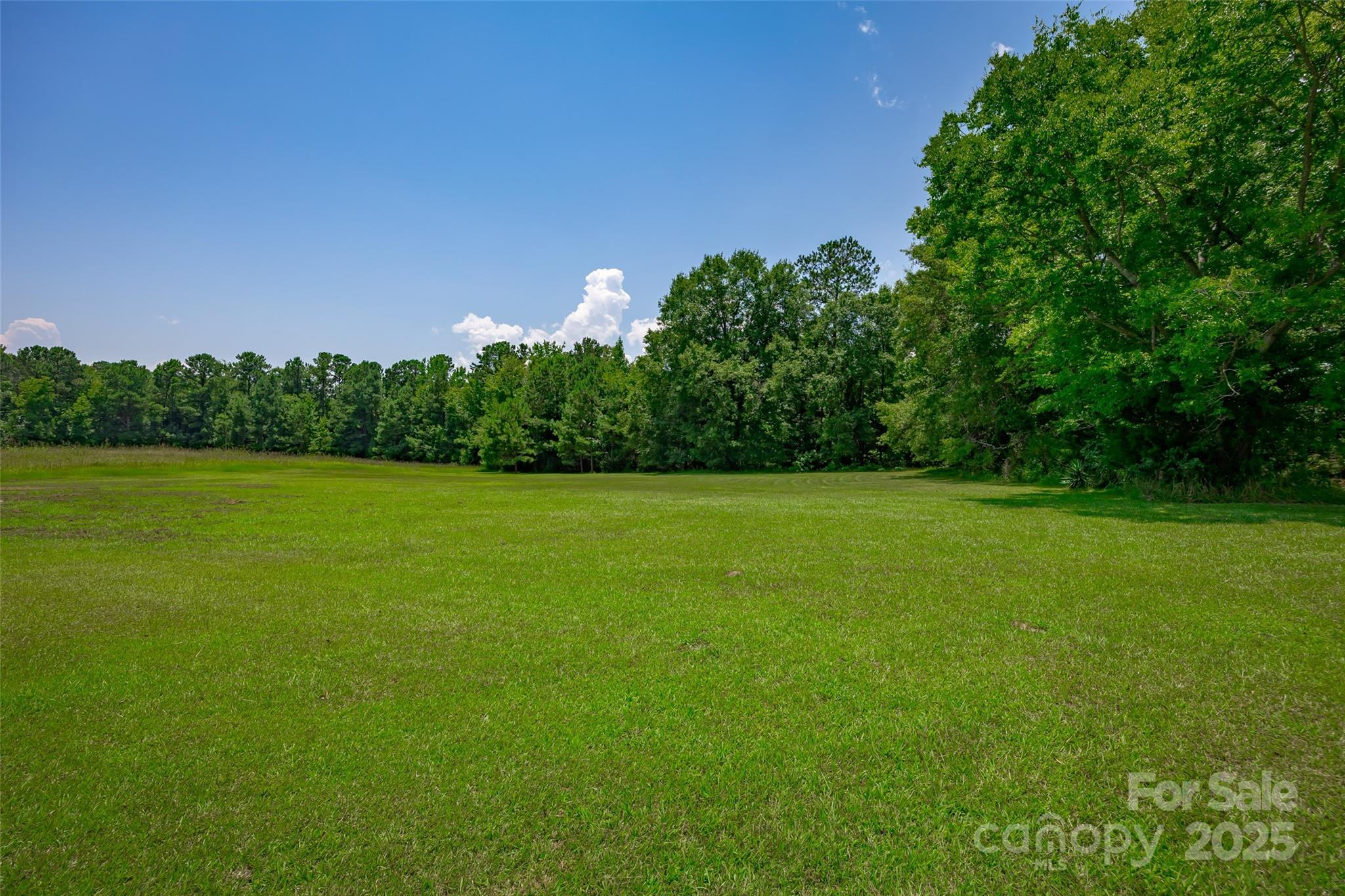 274 Old Harden Road Winnsboro, SC 29180 - Photo 32 of 39 a view of a grassy field with trees in the background