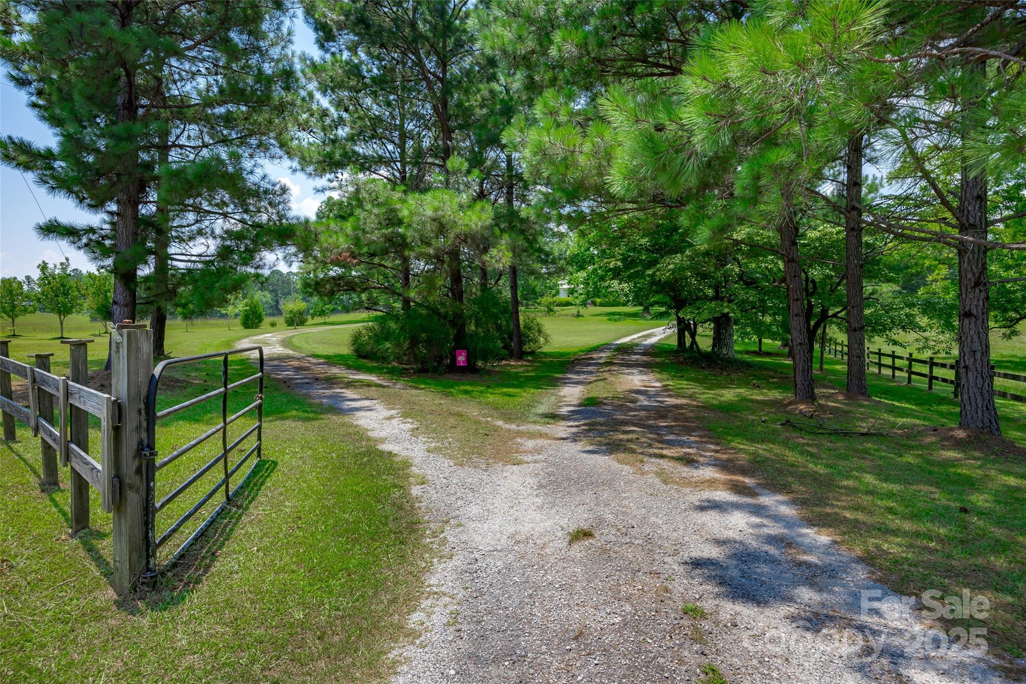 274 Old Harden Road Winnsboro, SC 29180 - Photo 33 of 39 a view of a park with large trees